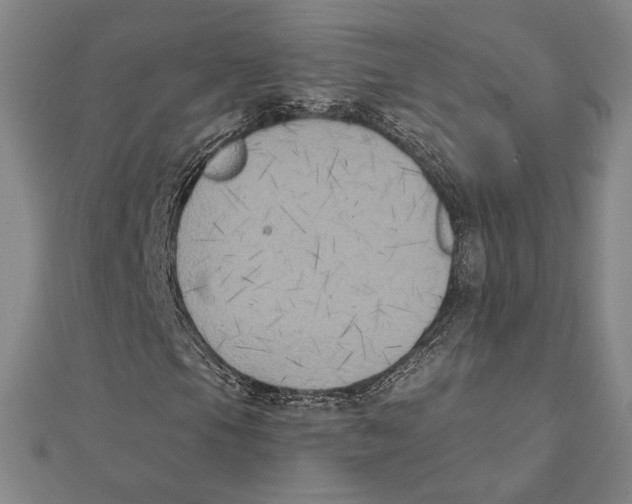X0000111481105200908111155