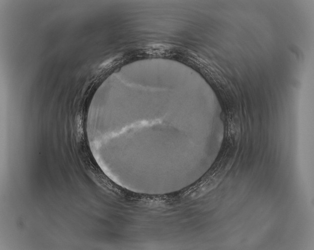 X0000111481106200908111155