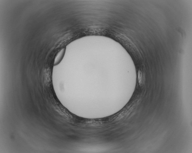 X0000111481107200908111155