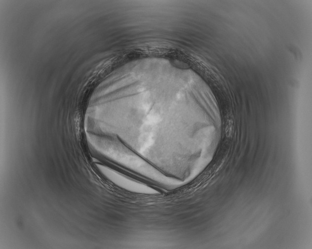X0000111481108200908111155