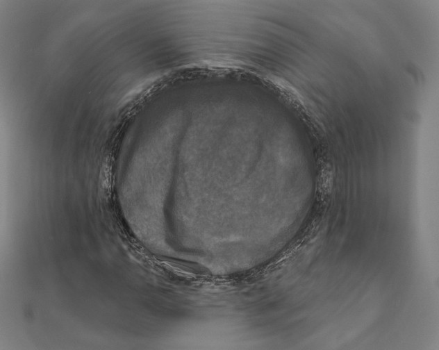 X0000111481110200908111155