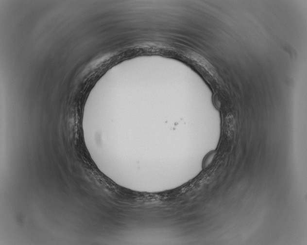 X0000111481111200908111155