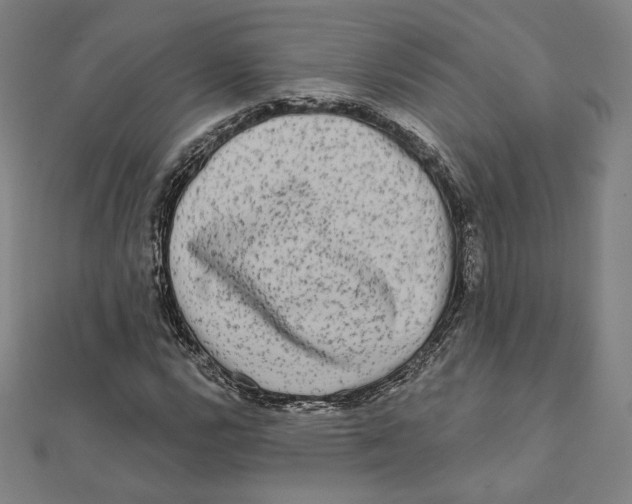 X0000111481112200908111155