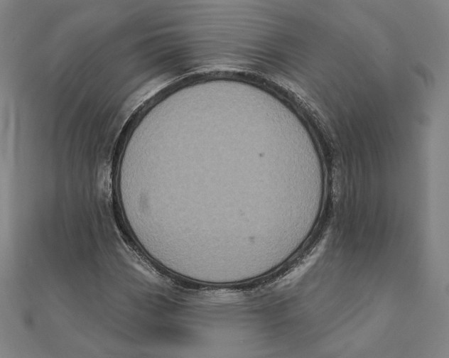 X0000111481113200908111155