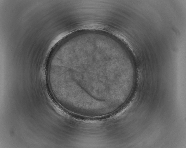 X0000111481114200908111155