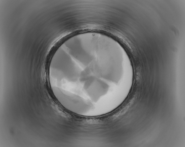 X0000111481117200908111155