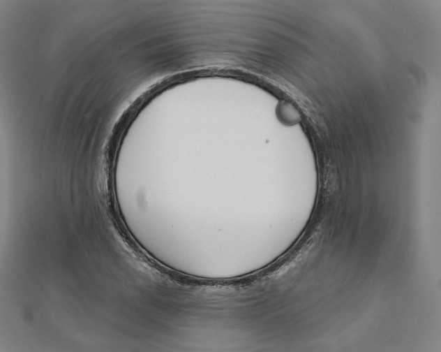X0000111481118200908111155