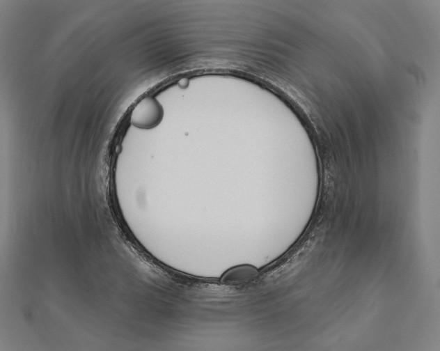 X0000111481119200908111155