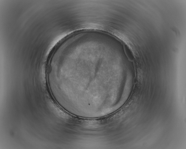 X0000111481120200908111155