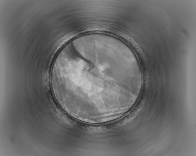 X0000111481121200908111155