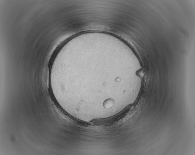 X0000111481123200908111155