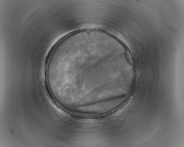 X0000111481124200908111155