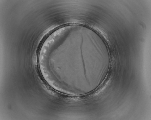 X0000111481125200908111155