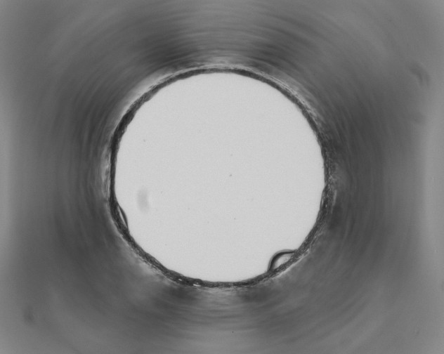 X0000111481126200908111155
