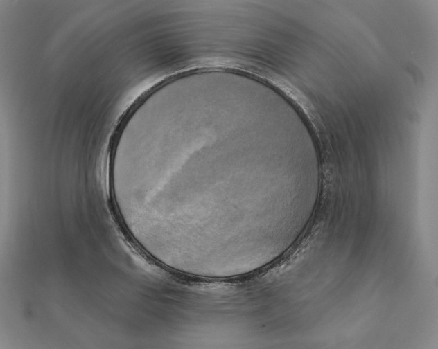 X0000111481127200908111155