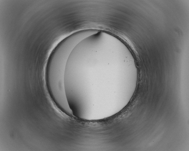 X0000111481128200908111155