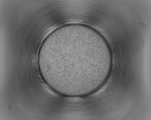 X0000111481129200908111155