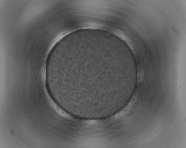 X0000111481130200908111155
