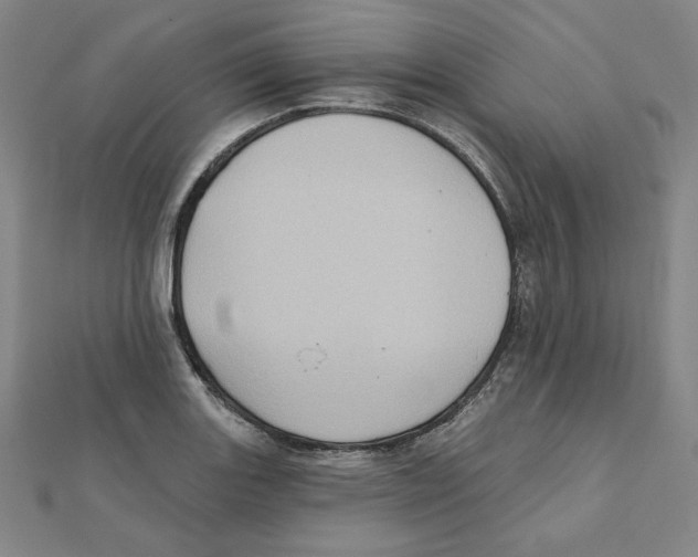 X0000111481131200908111155