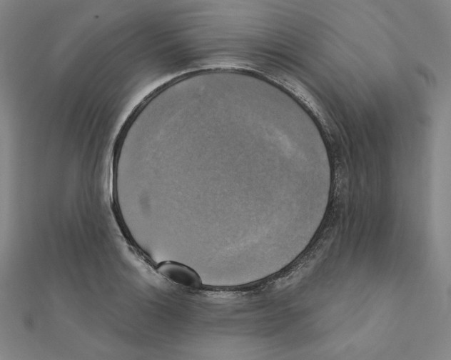 X0000111481132200908111155