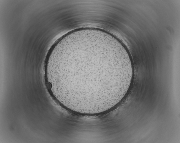X0000111481133200908111155