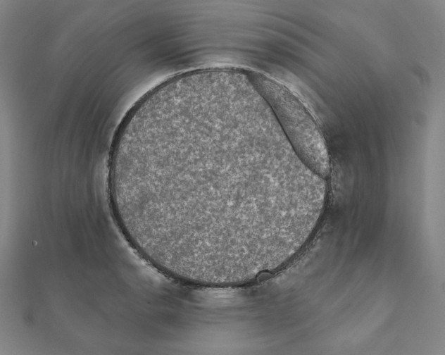 X0000111481134200908111155