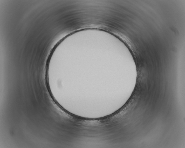 X0000111481135200908111155
