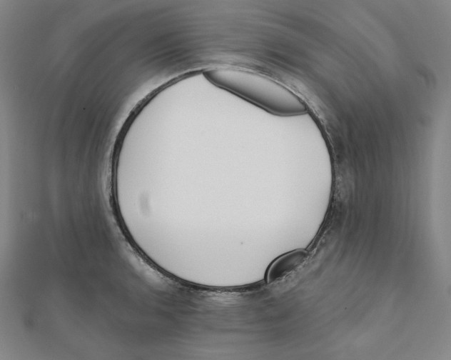 X0000111481136200908111155