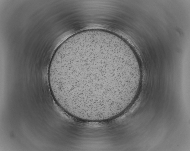 X0000111481137200908111155