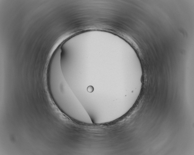 X0000111481138200908111155