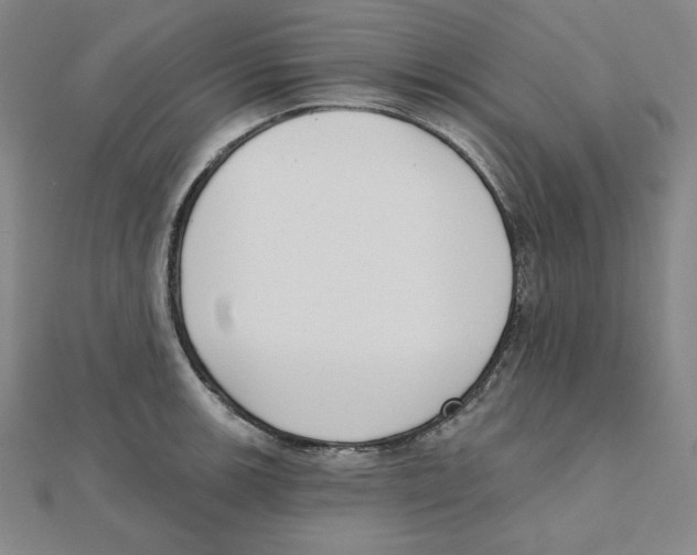 X0000111481139200908111155