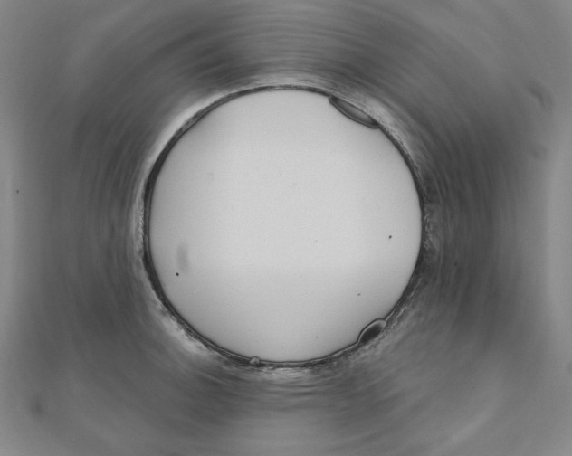 X0000111481140200908111155