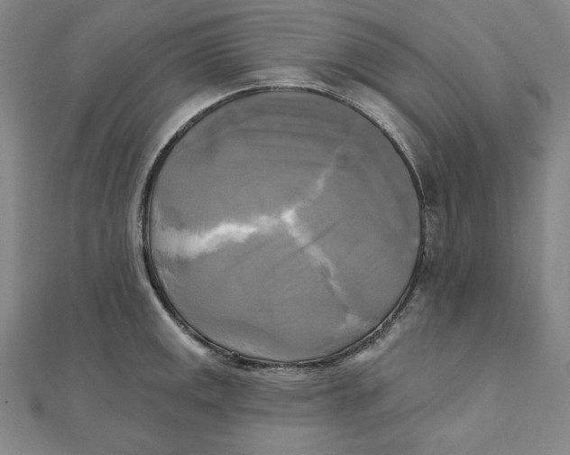 X0000111481141200908111155