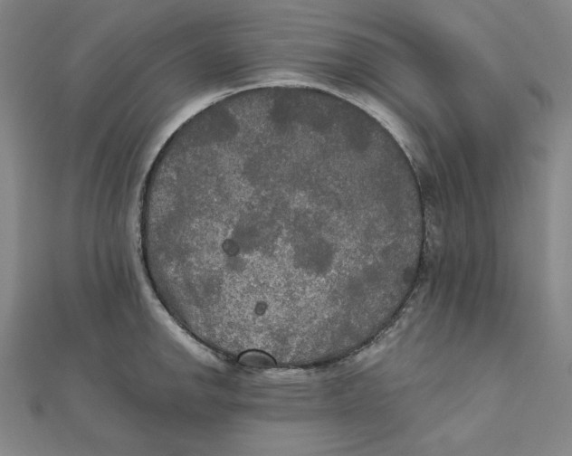 X0000111481142200908111155