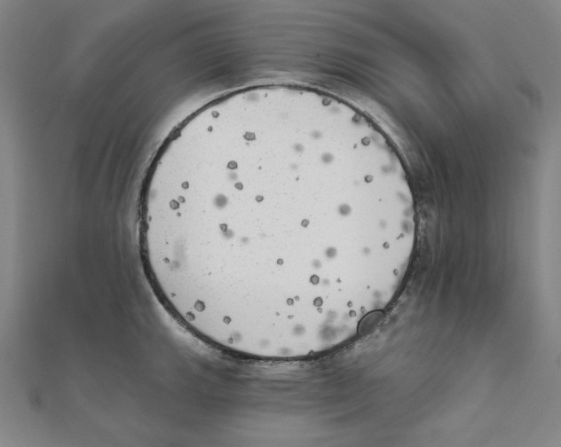 X0000111481143200908111155
