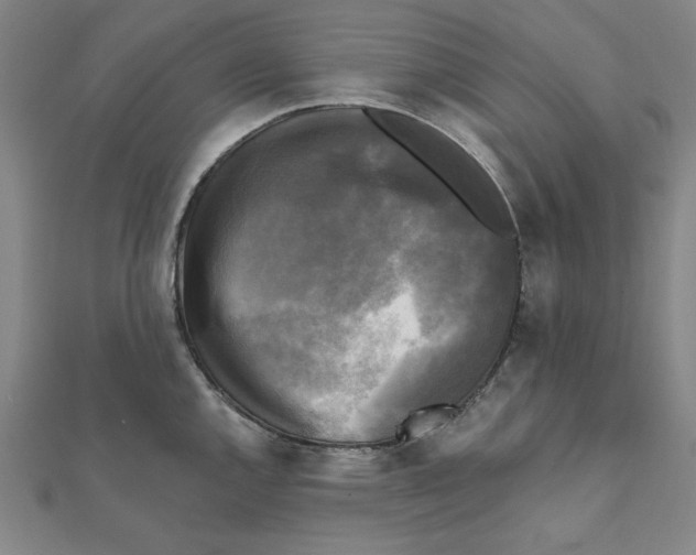 X0000111481144200908111155