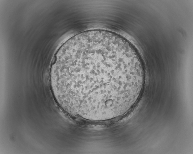 X0000111481145200908111155