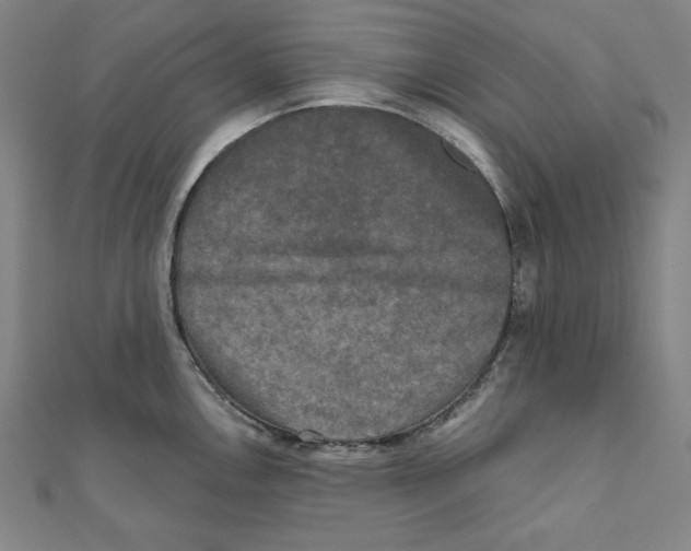 X0000111481146200908111155