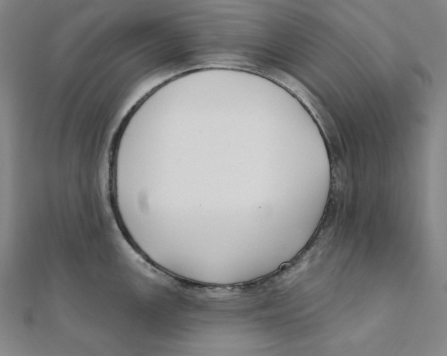 X0000111481147200908111155