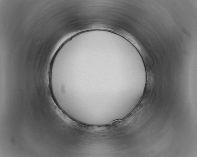 X0000111481148200908111155