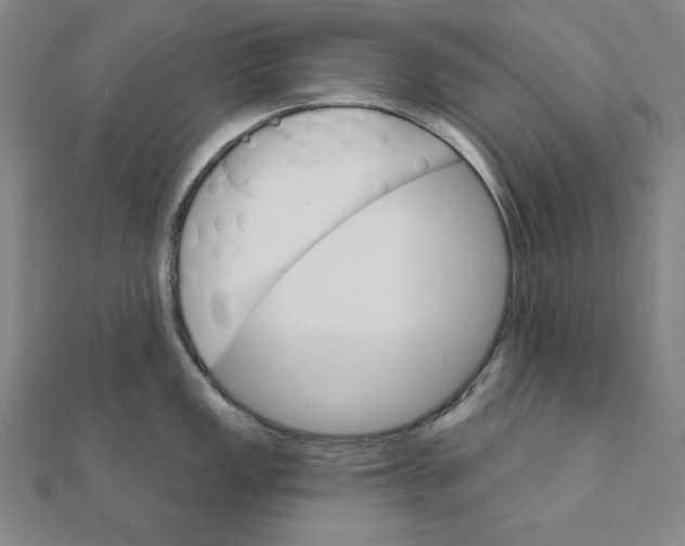 X0000111481149200908111155