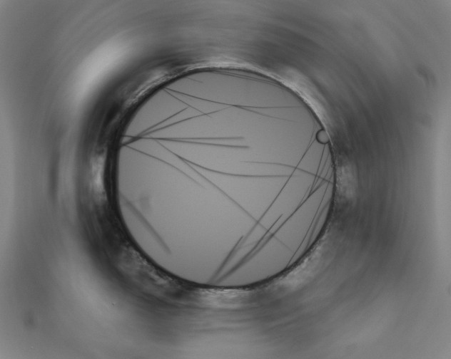 X0000111481150200908111155