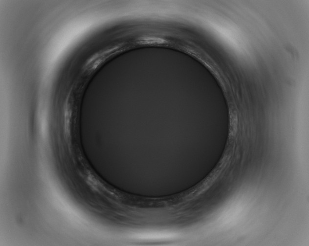 X0000111481151200908111155