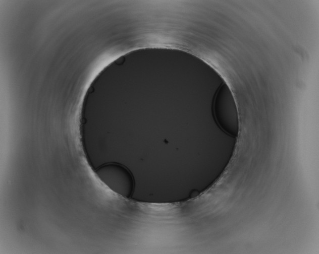X0000111481152200908111155