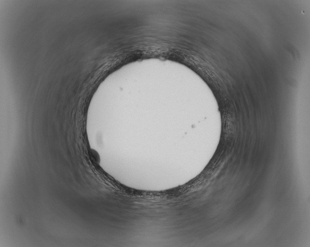 X0000111481153200908111155