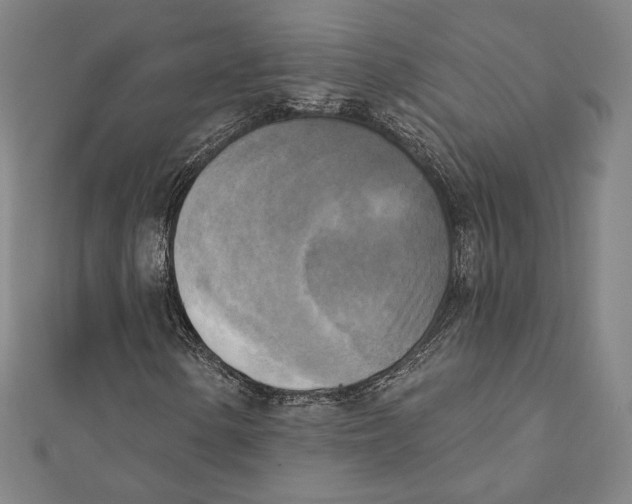 X0000111481154200908111155