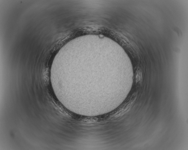 X0000111481156200908111155