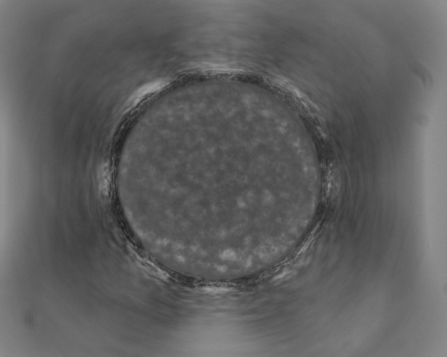 X0000111481157200908111155