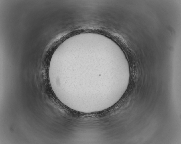 X0000111481159200908111155