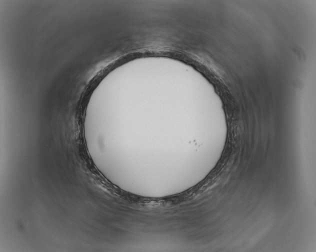 X0000111481160200908111155